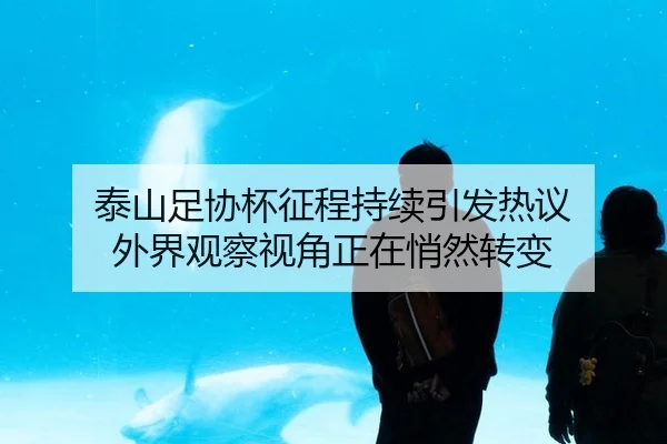 泰山足协杯征程持续引发热议 外界观察视角正在悄然转变